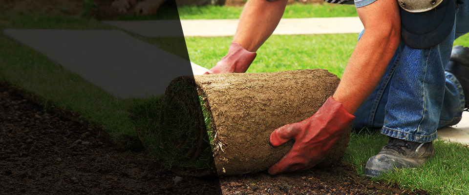 Crownsville Landscapers